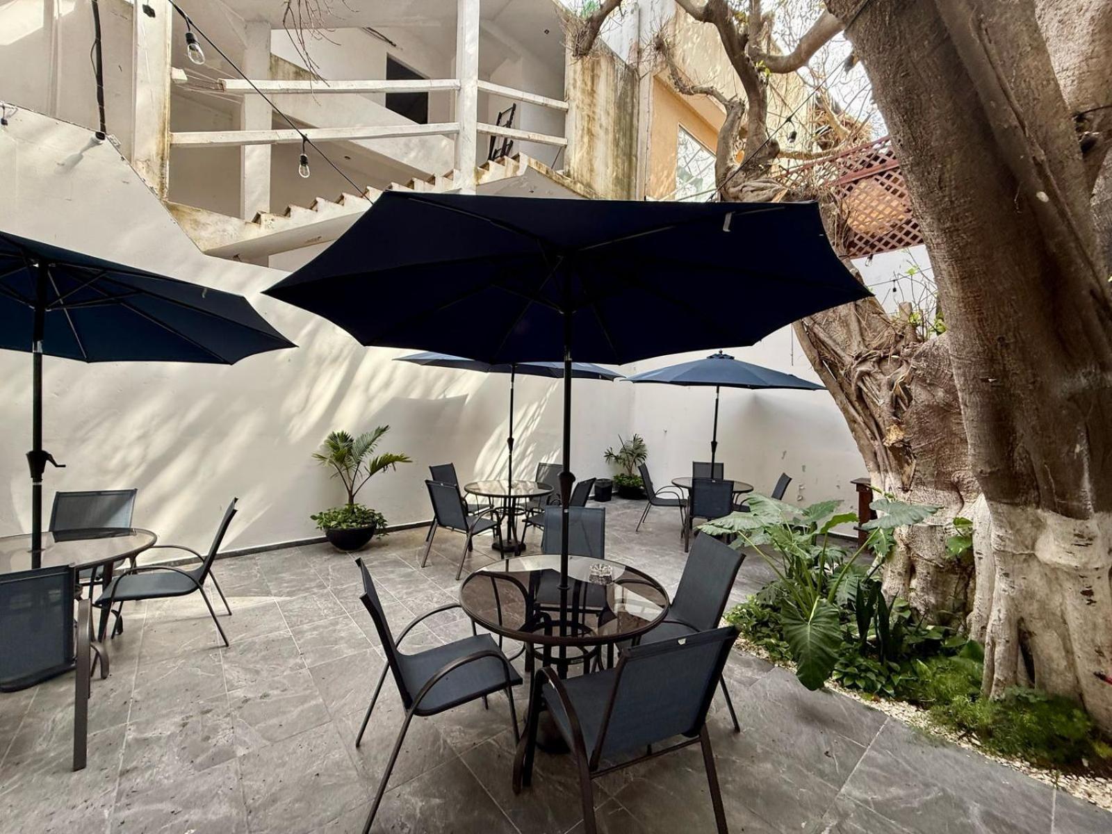 Casa Tortuga 5Th Ave Hotel ปลายาเดลการ์เมน ภายนอก รูปภาพ